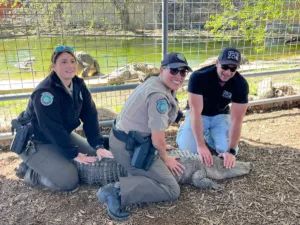 Game Wardens with Aligator